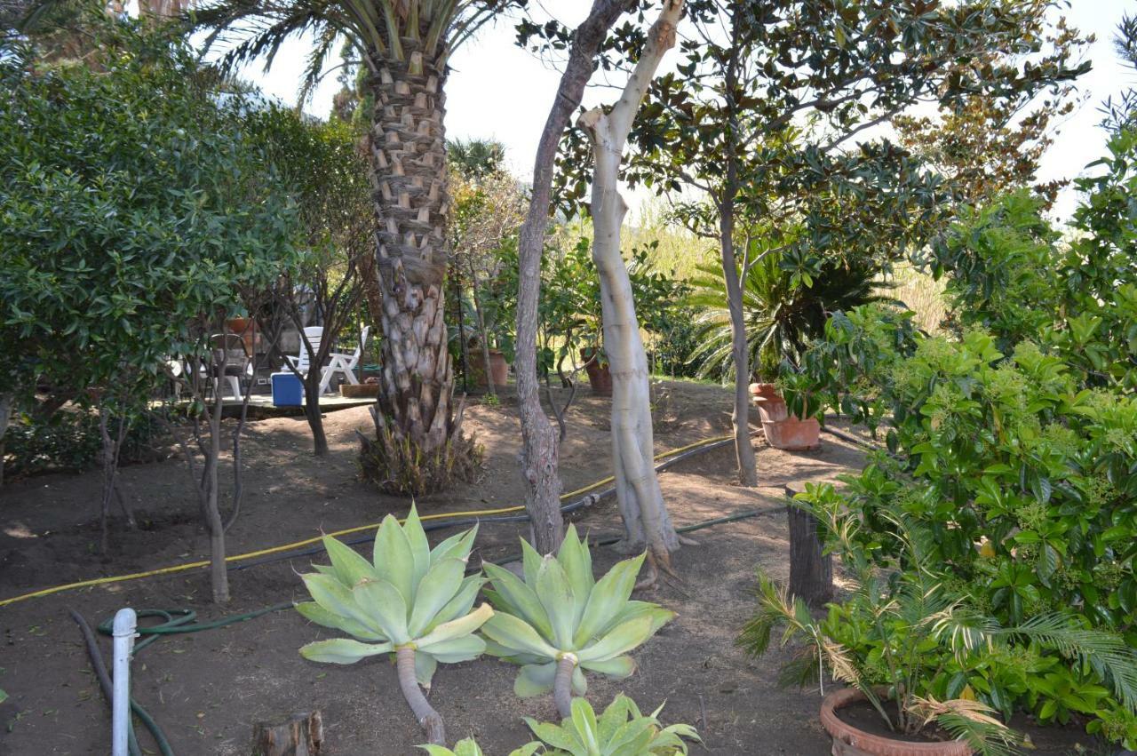 B&B Il Giardino Segreto Стромболи Екстериор снимка